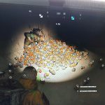 Дублирование предметов в ARC Raiders — сообщество требует патч